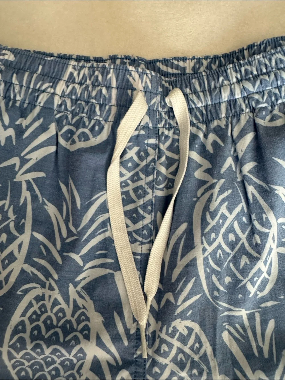 chubbies Blue Pineapple-Print Men's Swim Trunks